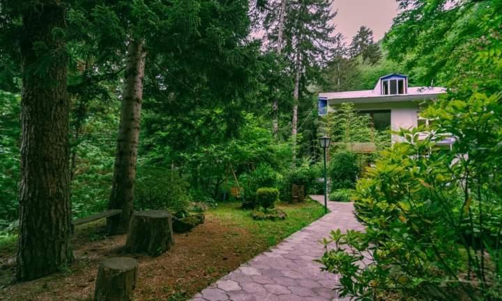 Nunisi Forest Hotel & Spa Екстер'єр фото