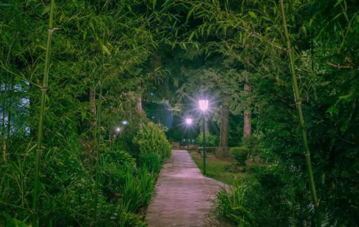 Nunisi Forest Hotel & Spa Екстер'єр фото