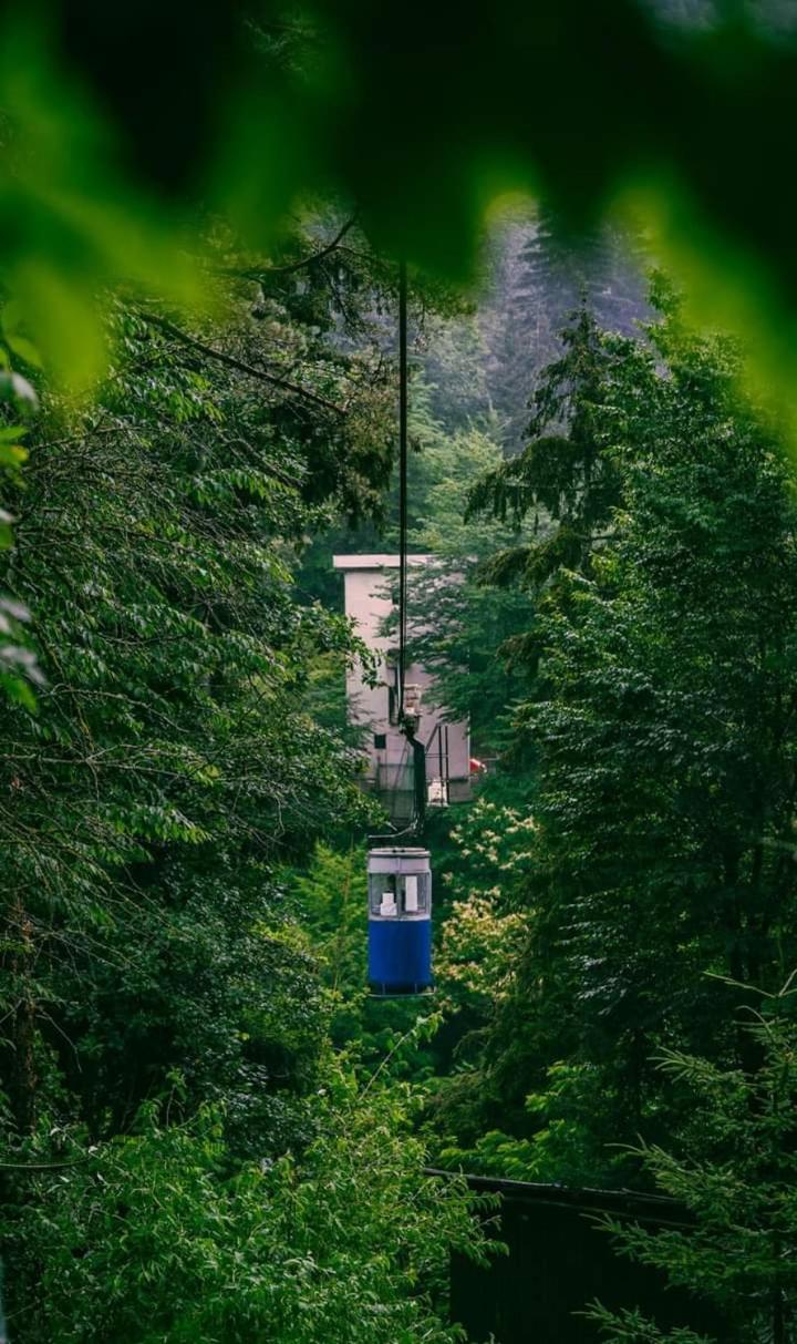 Nunisi Forest Hotel & Spa Екстер'єр фото