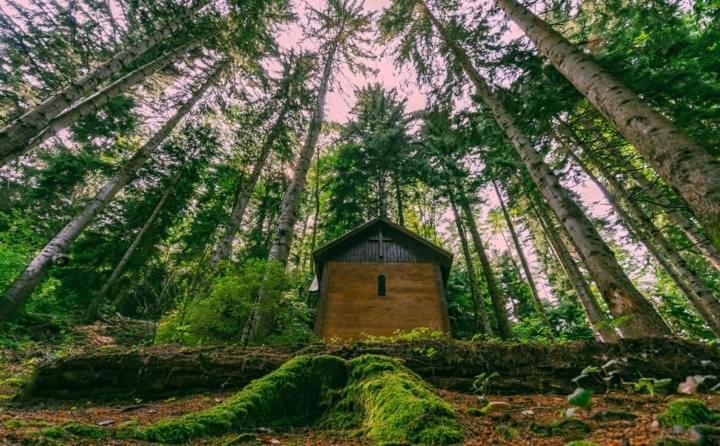 Nunisi Forest Hotel & Spa Екстер'єр фото